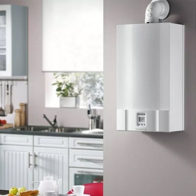 Купить Водонагреватель газовый DE DIETRICH ZENA PLUS MSL 31 MI FF — Фото 4