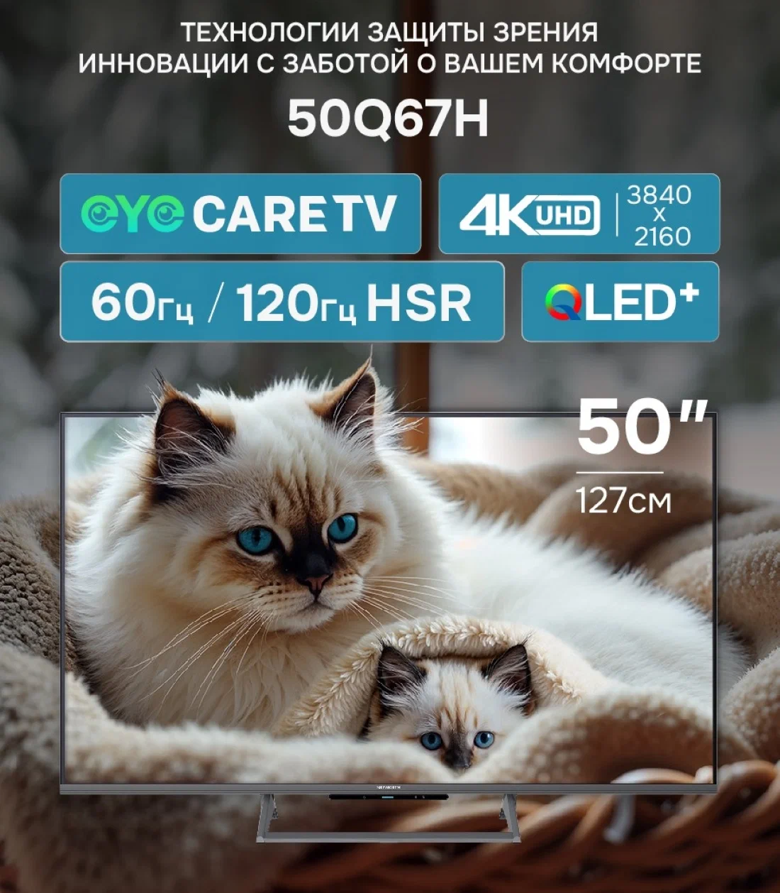 Телевизор SKYWORTH 50Q67H																		 — описание, фото, цены в интернет-магазине PT Stores