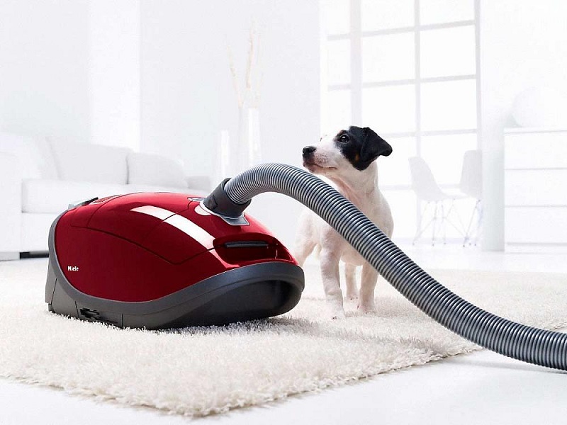 Купить Пылесос MIELE SGEA3 Complete C3 Cat&Dog ежевичный красный — Фото 5