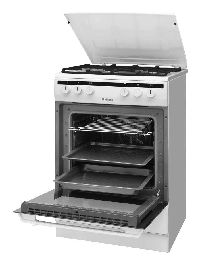 Купить Комбинированная плита Hansa FCMW 68020 — Фото 3