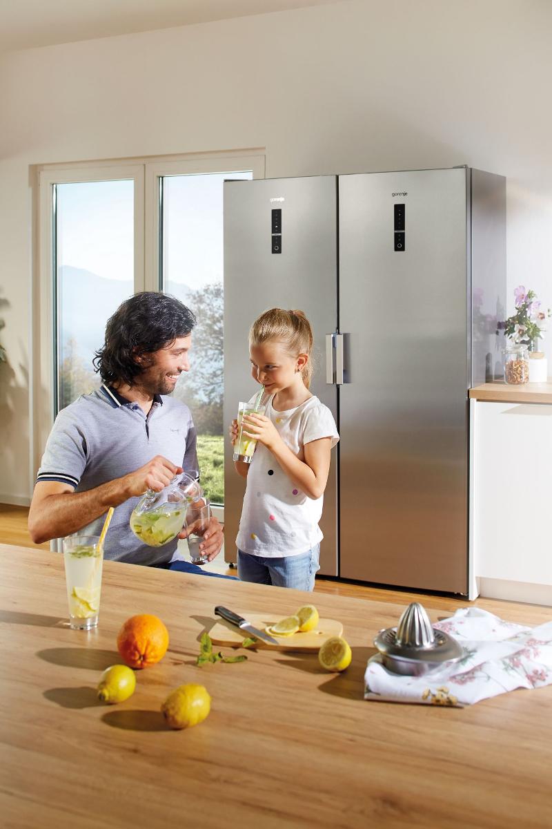 Купить Холодильник GORENJE R 6192 LX — Фото 22