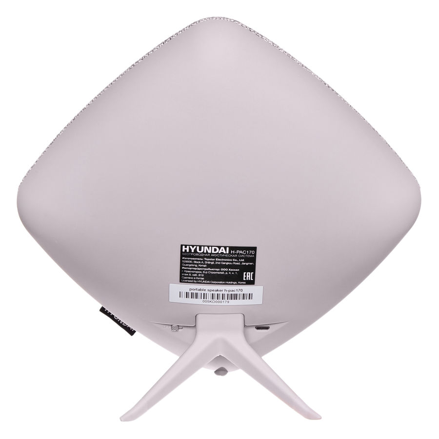Купить Портативная акустика Hyundai H-PAC170 — Фото 4