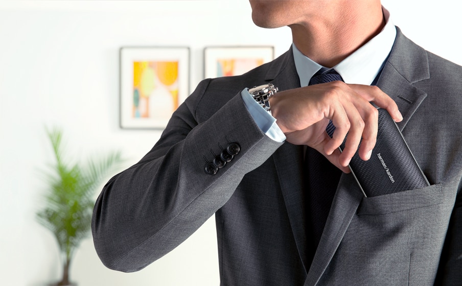 Купить Портативная акустика HARMAN / KARDON ESQUIRE MINI 2 silver — Фото 4