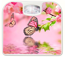 Напольные весы IRIT IR 7312 (бабочки2)																		 — описание, фото, цены в интернет-магазине PT Stores