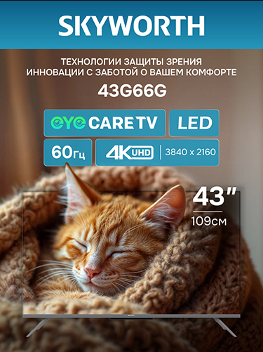 Телевизор SKYWORTH 43G66G																		 — описание, фото, цены в интернет-магазине PT Stores