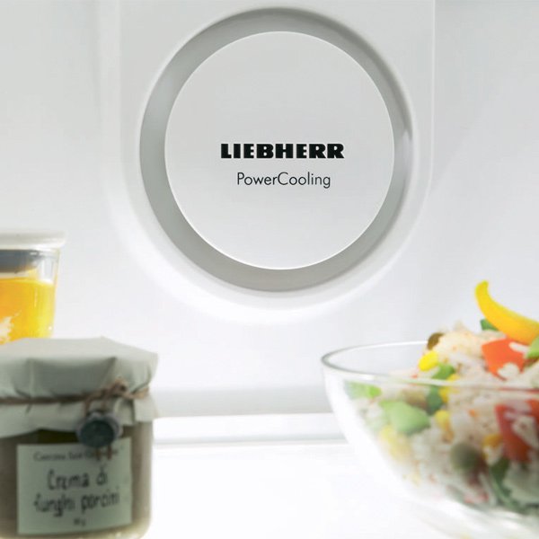 Купить Холодильник LIEBHERR KBbs 4260 — Фото 8