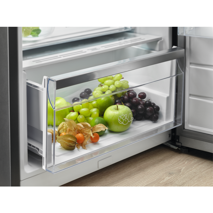 Купить Холодильник Electrolux RRC5ME38X2 — Фото 4