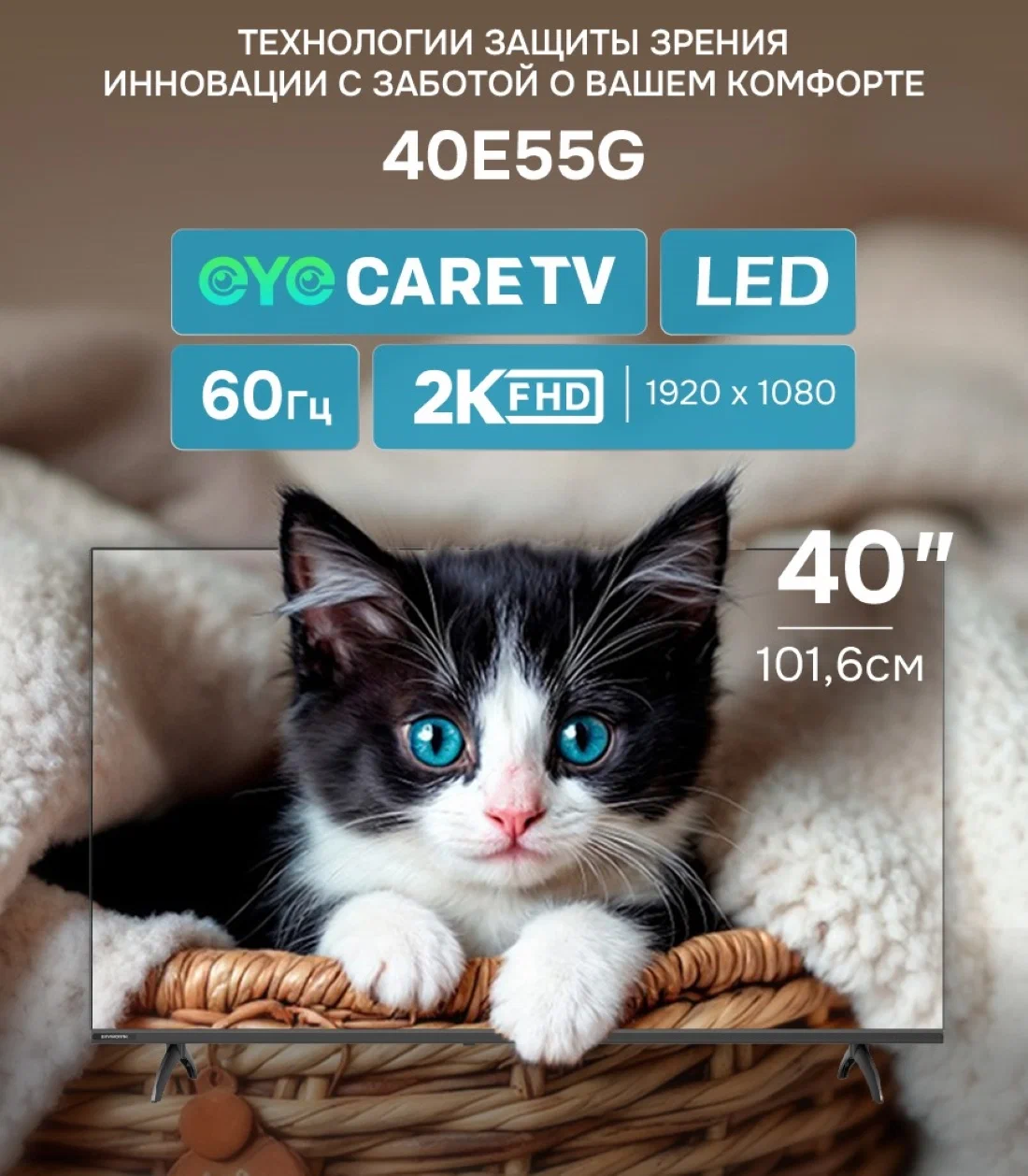 Телевизор SKYWORTH 40E55G																		 — описание, фото, цены в интернет-магазине PT Stores