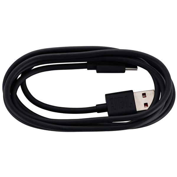 Купить Портативная акустика JBL CHARGE  4 серый — Фото 9