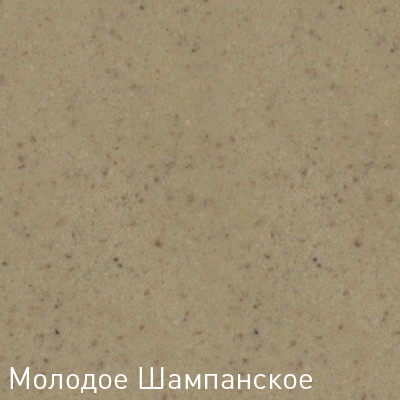 Купить Мойка Zigmund & Shtain Eckig 900 Молод.шамп — Фото 3