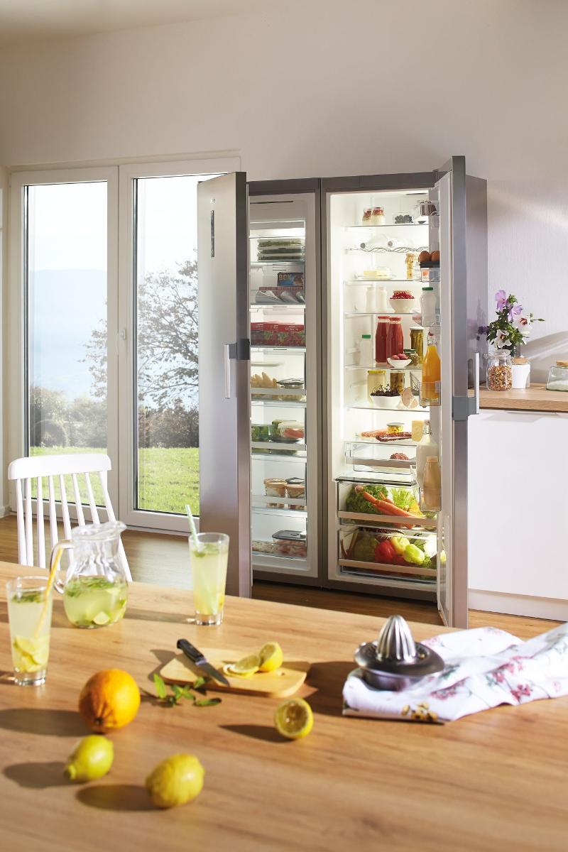 Купить Холодильник GORENJE R 6192 LX — Фото 21