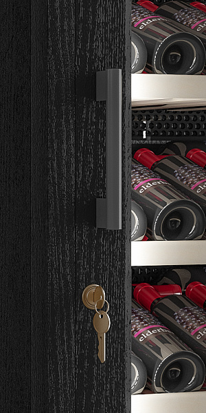 Купить Винный шкаф Meyvel MV66-WB1-M — Фото 3