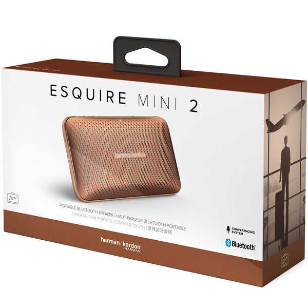 Купить Портативная акустика HARMAN / KARDON ESQUIRE MINI 2 brown — Фото 6