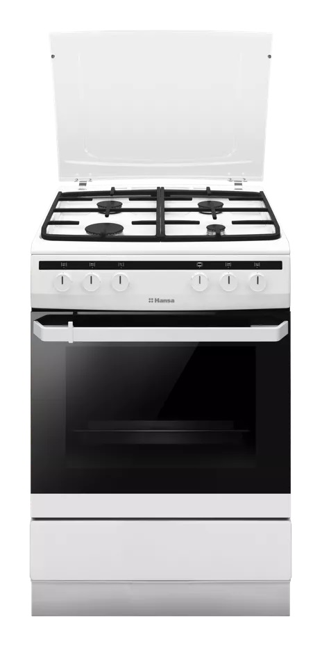 Комбинированная плита Hansa FCMW 68020																		 — описание, фото, цены в интернет-магазине PT Stores