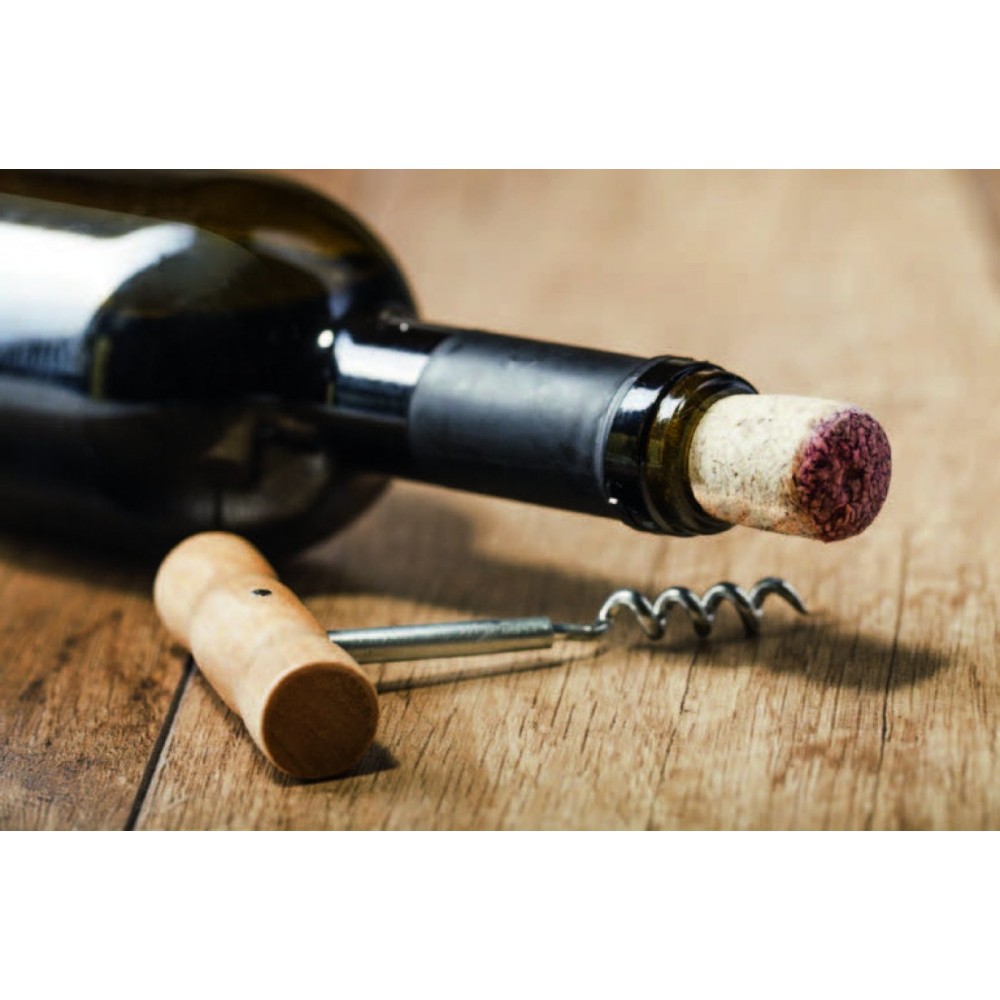 Купить Винный шкаф CASO WineComfort 380 Smart — Фото 2