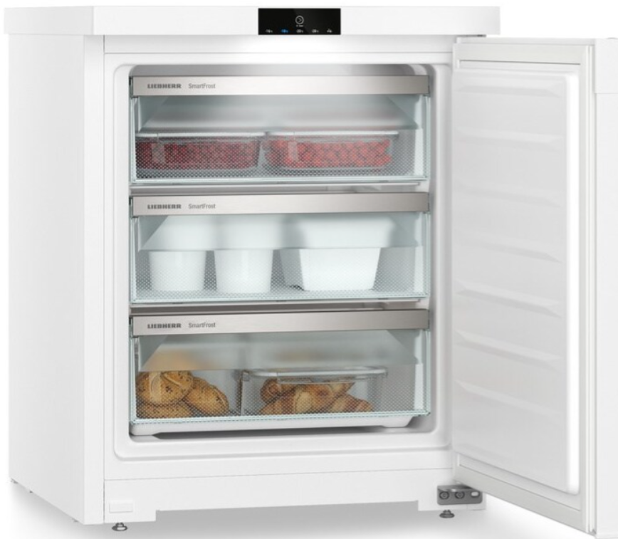 Купить Морозильная камера LIEBHERR Fe 1003 — Фото 2