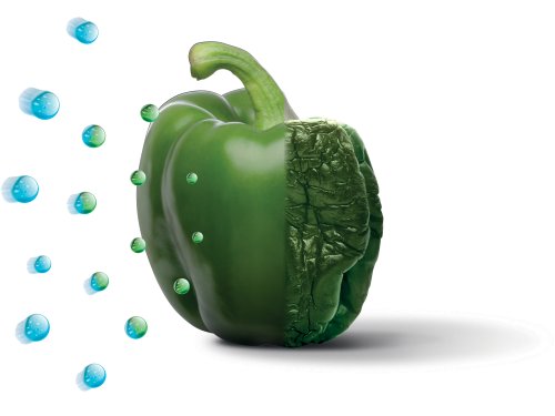 2a8e6566c00ea6116948980193b4fbbf_96057_2.jpg 2a8e6566c00ea6116948980193b4fbbf_96057_2.jpg