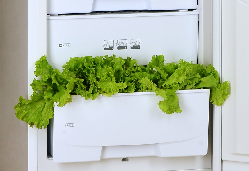 54_pic_27_pic_box-1.jpg 54_pic_27_pic_box-1.jpg