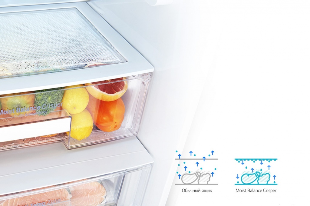 ref-moist-crisper-bg.jpg