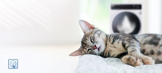 cat-wm-bg.jpg