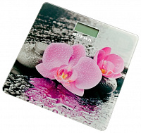 Напольные весы SUPRA BSS-2001