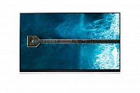 Телевизор LG OLED55E9