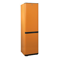 Двухкамерный холодильник БИРЮСА T380NF