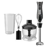 блендеры Scarlett SC-HB42F66