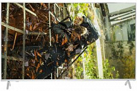 Телевизор PANASONIC TX-55GXR900